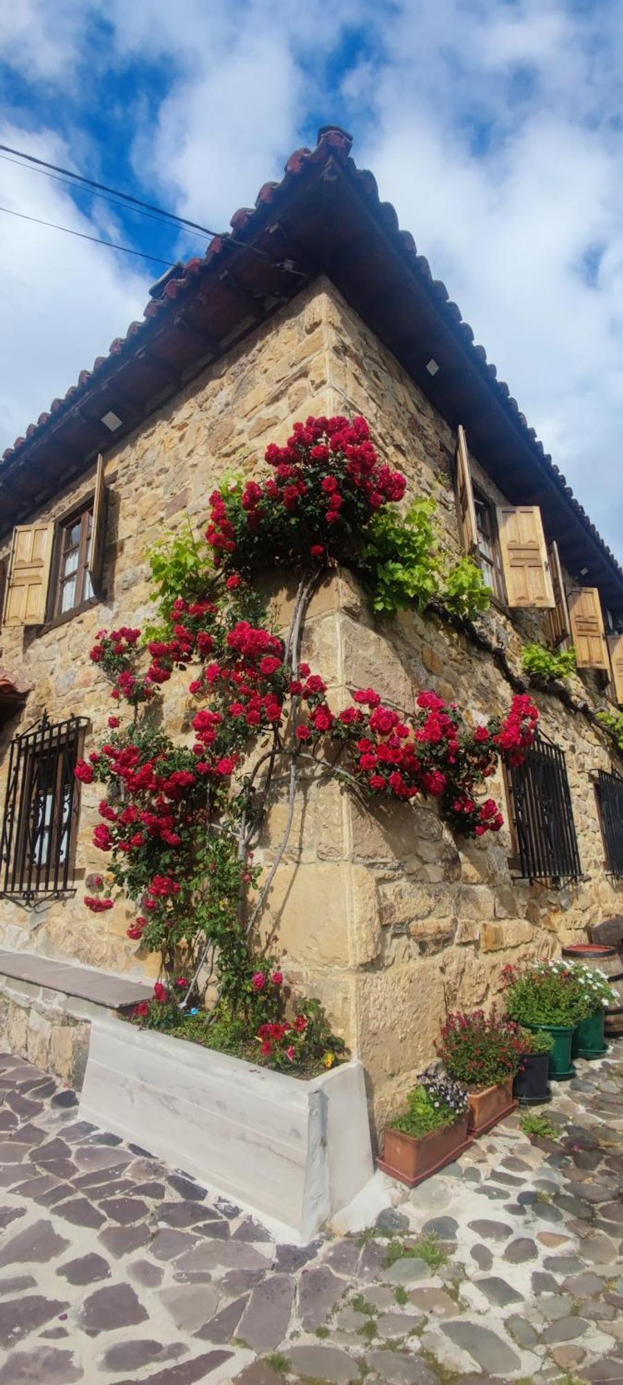 Nuestra Casa De Luriezo Villa Cabezón de Liébana Exteriör bild